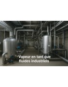 Vapeur industrielle – Production, distribution et optimisation énergétique | Envirofluides